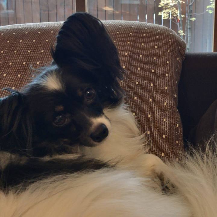 164c5629 21f5 4b65 a257 0102cc9c4a03 1510611148027