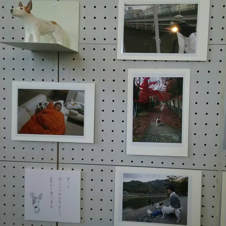 164c6fb3 14bb 4bc8 8d91 7a941c93ad03 1524204150937