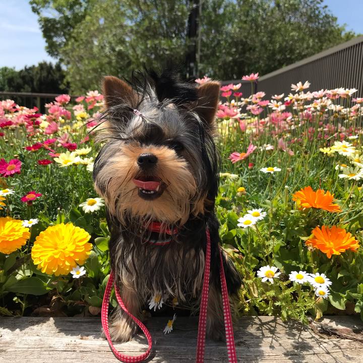 164c77b2 d211 4a77 9b93 d25fbecfd909 1620539799012