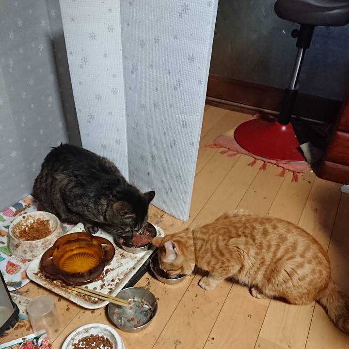 164c7d71 23d6 40b6 8e11 f3b77e7ab6d3 1650574545351