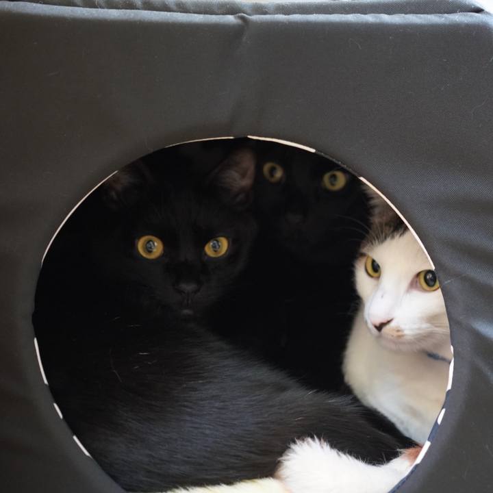 164cc511 014d 4500 a2f8 5db5128d2ee7 1581257583652