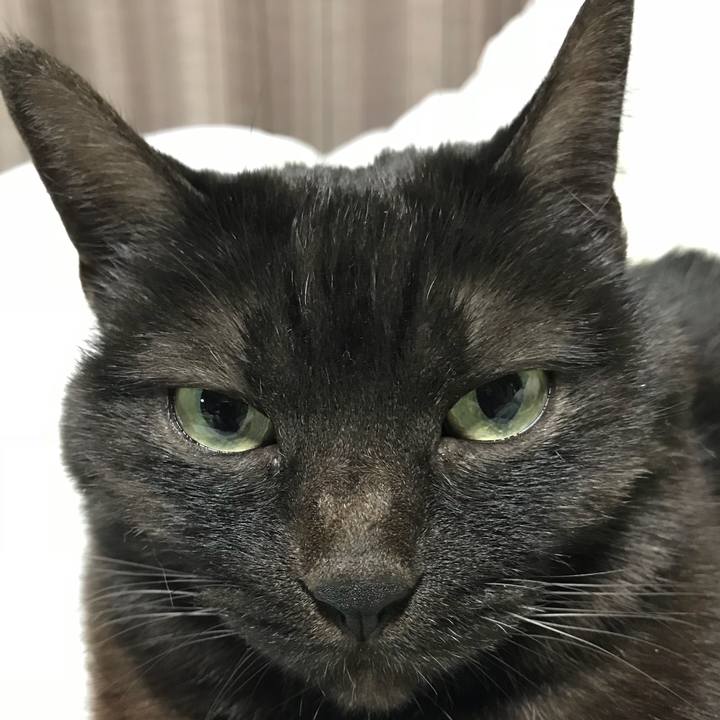 164cf81b 648b 40fd b225 9099badb3eb9 1516548983725