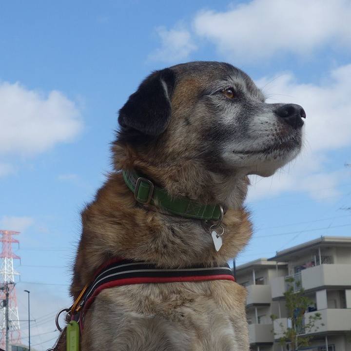 164cf875 34c5 4fd3 8a06 129fc1894f74 1543111269108