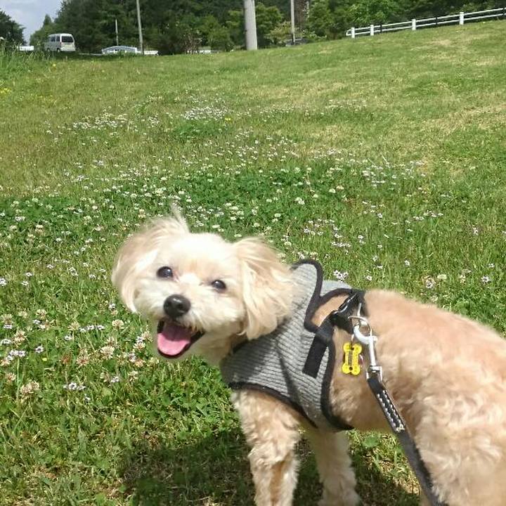 164d2938 d9ad 4e12 8380 70870e748ee9 1558228400041