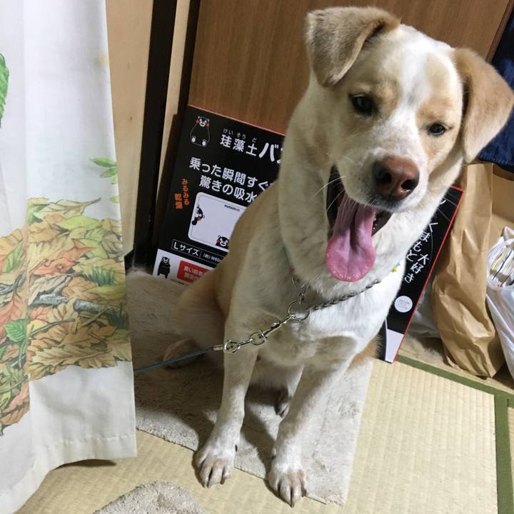 164d2a1a ba1f 47ba 8da8 f2090af2faf0 1525333482600