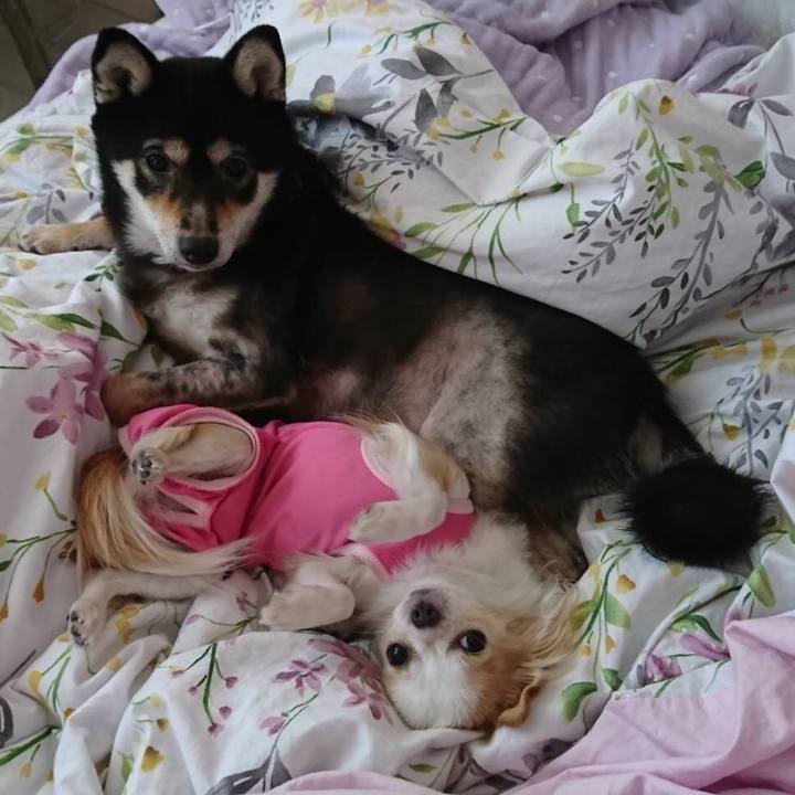 164d3792 0874 4dc1 b4f3 8d641a9ca11e 1604753488120