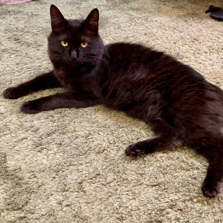 164d8194 cea4 407a bedf b56359f8b367 1733218649299