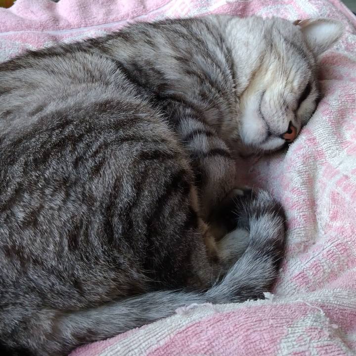 164dd6b8 129e 44ce 8fa8 bef16e47f211 1684223261098