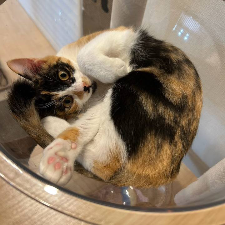 164e0210 e969 467e ace6 ee3f842a25e4 1759663563076