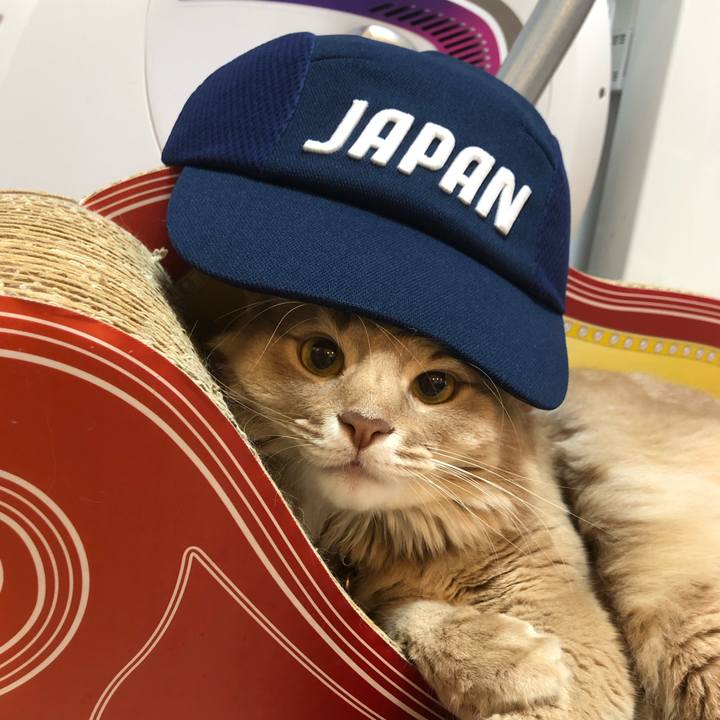 164e0cc4 00c9 4556 b82b 5418889d78e4 1628343896976