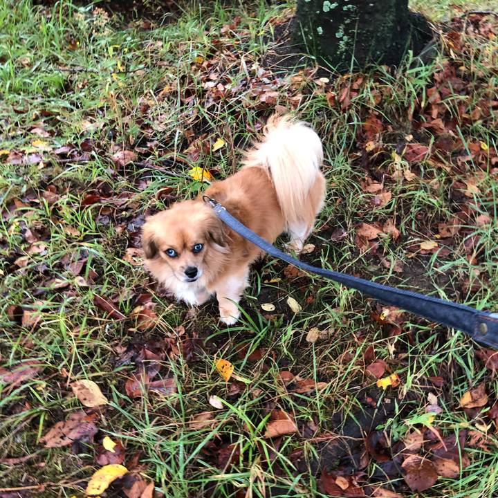 164e12da 4cf0 4645 9fc5 b9e32b295beb 1570140676470