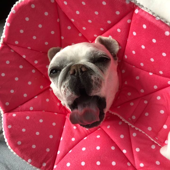 164e4b99 dbda 409d 9d79 b0424b5811e8 1681536453124