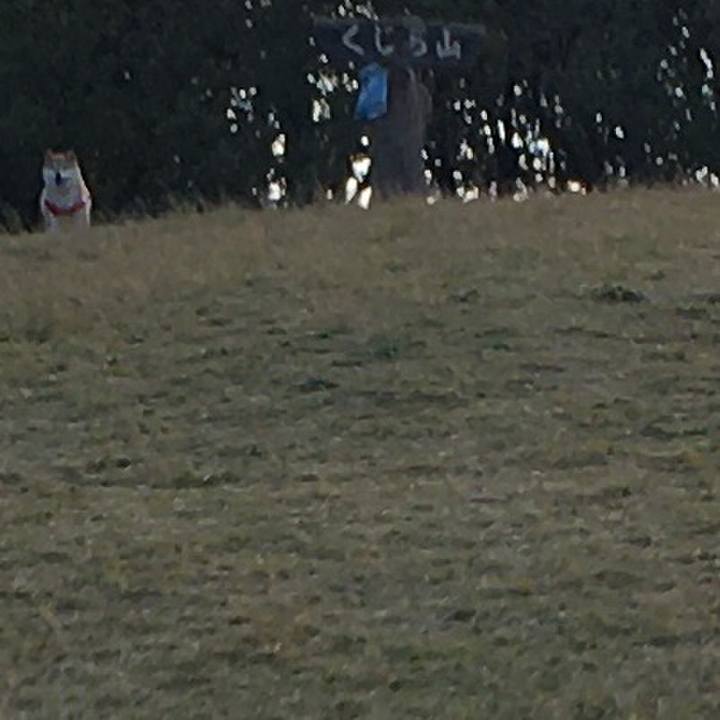 164e98bd 4a80 41b5 bd67 34525cb48d55 1573204541705