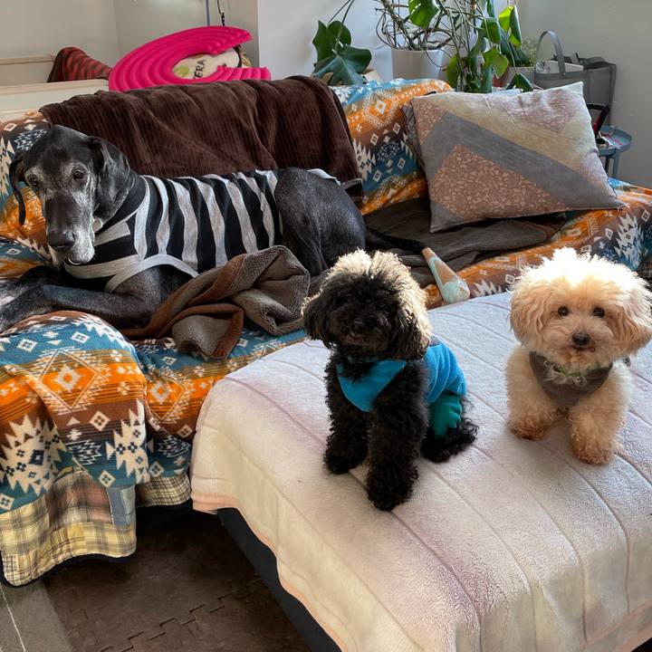 164eae83 fb43 43e8 885f 956ba6affc31 1639608032717