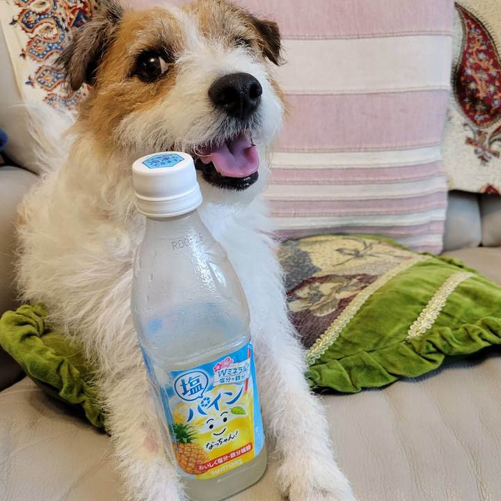 164ed355 ce11 49fd a361 c4c50eb8fef3 1656459386121