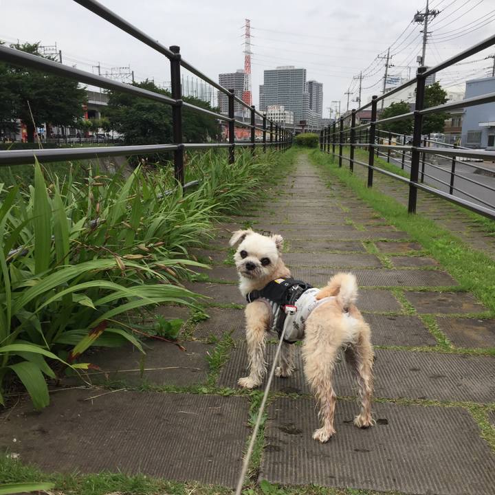 164eec12 09e7 493d b051 3d5384e86b89 1563018558177