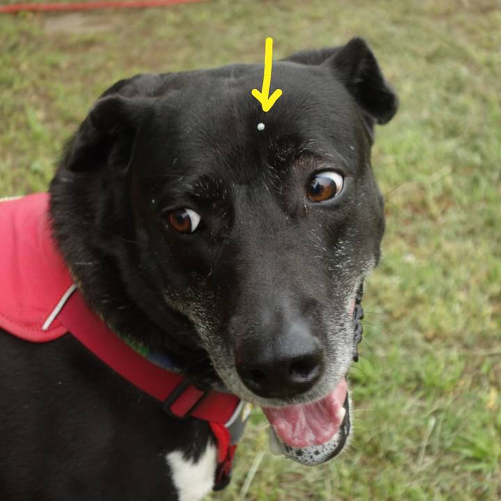 164f0171 ac86 4f6a 82f5 e1acb2aee331 1682126770296