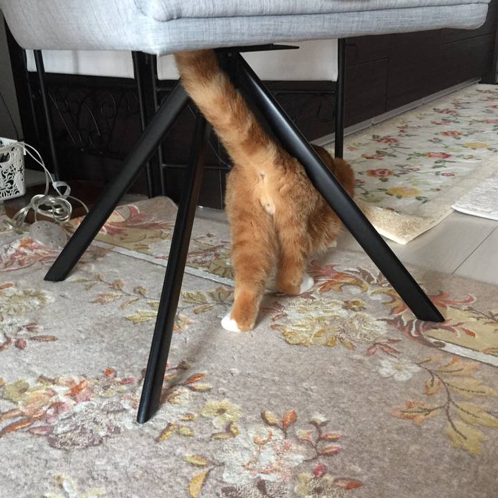 164f1950 f2d1 4feb 92ba 37e401a8fd23 1528414378225