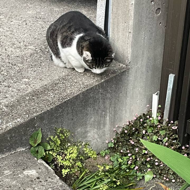 164f261f 5bcf 4777 9746 701d355ca32d 1680083045862