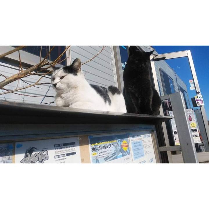 164f58c1 78ea 48fb 910d fa5df7d778c2 1645752344015