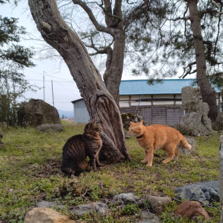 164f683e 48ba 48b5 8c05 354051117b35 1712822800069