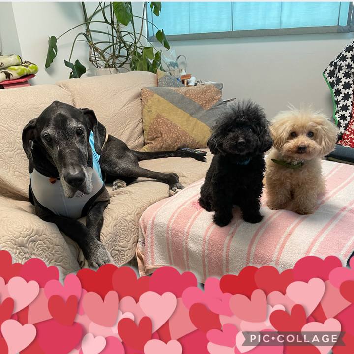 164f9f39 b3e1 4406 bcee ce4c4ce8b844 1627252012665