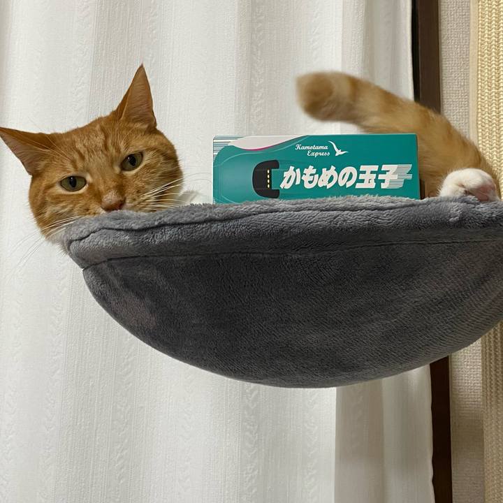 164faa43 4a6d 449a 8403 9926d72b3644 1752674109562