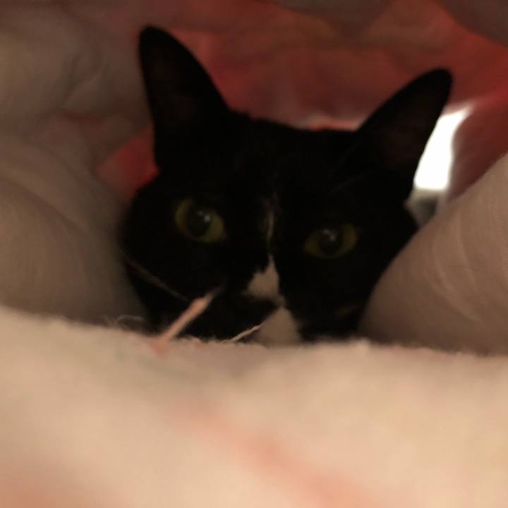 164fcb4e 6efa 4060 b633 8b09fe3e40cd 1592692509818