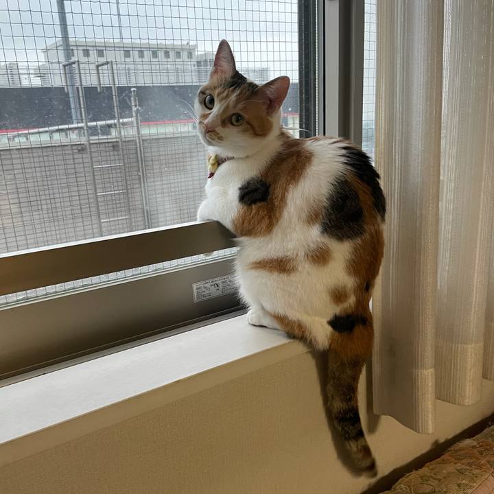 164fd5ff b14e 4dd9 83f1 1cad715bc93c 1628825403502