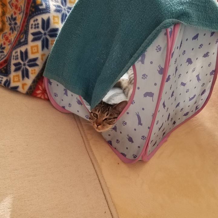 164fe39d 9d2b 4292 9290 41e4b54f805b 1673704841238