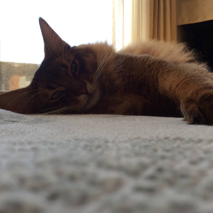 164ff196 5f4b 4e9c b487 179db3f2274d 1605659414944