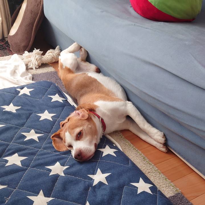 164ff69d 41c5 400f 81ba 002d357ffbfc 1722567537925