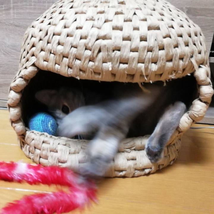 16500705 d689 4fa6 bccf 86a0dde02f25 1528592846903