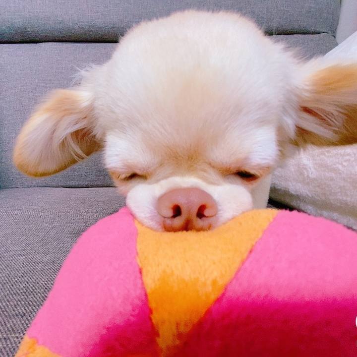 16505f10 e92c 43b5 b0ad 6f47ad7952f3 1628681820196