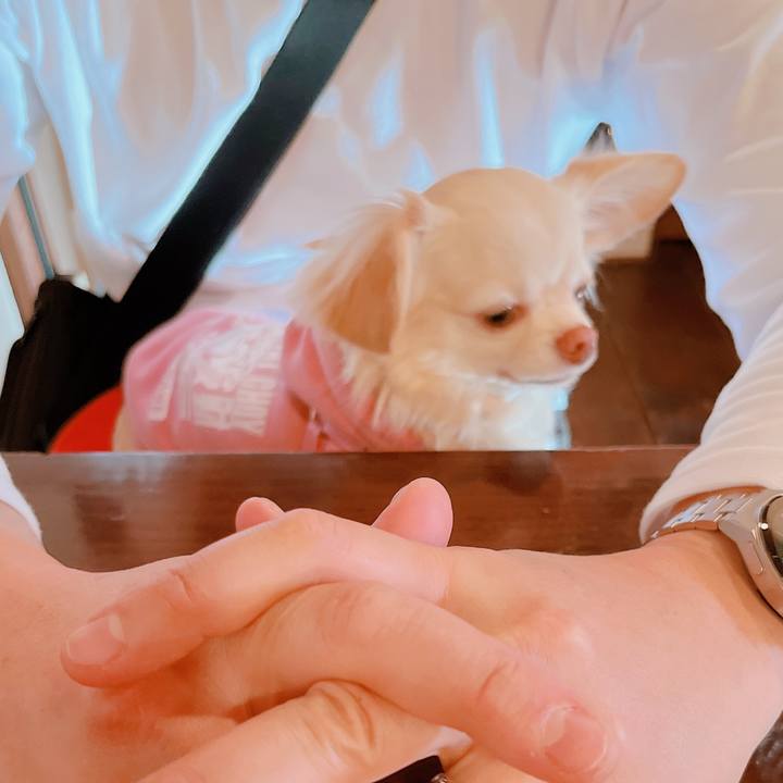 16507b8d 0bce 4b99 a6fb c8f395cd813b 1675598821192