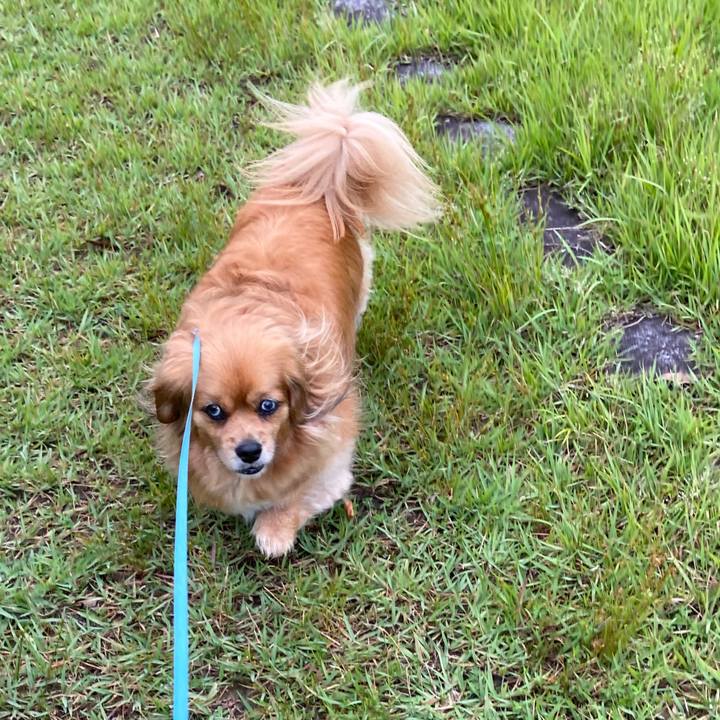 16507dc7 bd12 43aa b761 d943f5c9a537 1655508111530