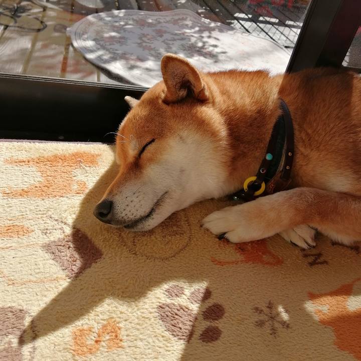 16508c45 431c 4ec5 8aa7 b4bf1573ea08 1582086803247