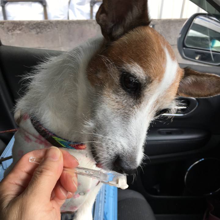 1650aadd 9e6f 4667 979d 755431bae352 1635377264987