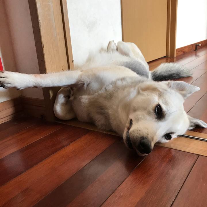 1650b4c8 40ec 4c06 a89f b48e59297e0f 1581642127251