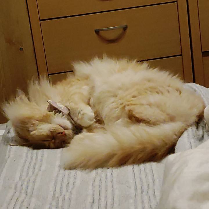 1650b56b a59a 4b85 97aa 59a3a2eba227 1719230680022