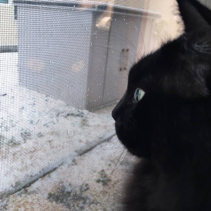 1650f6dd 2e63 4a70 8deb 90756eefe54f 1508727300053