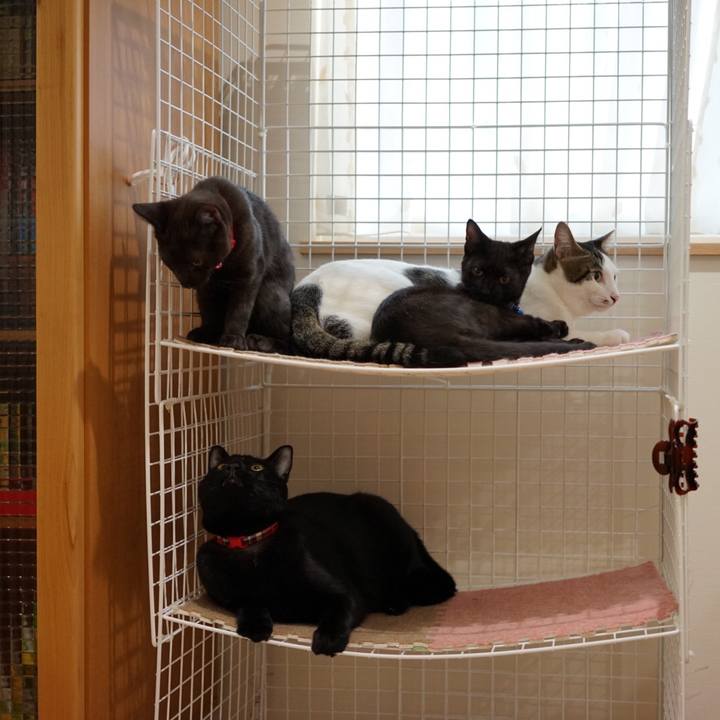 16514b02 e952 4519 90a5 563dfe39076f 1512714936503