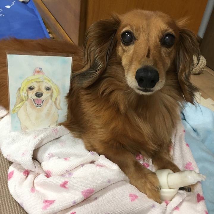 1651a58a c288 4f3e 90e9 5bb267610ede 1562939711942