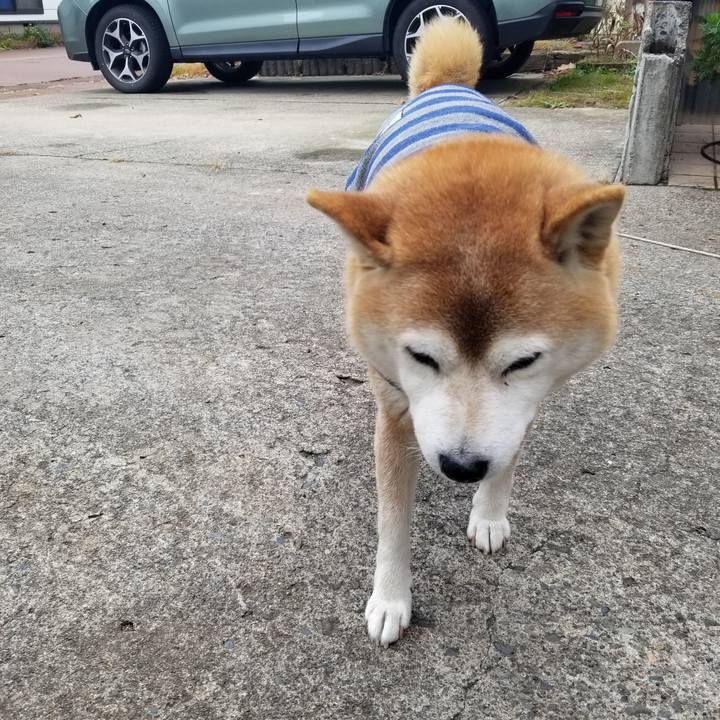 1651b5cb 91ee 4f6b 83de f95074f7f98e 1670115317803