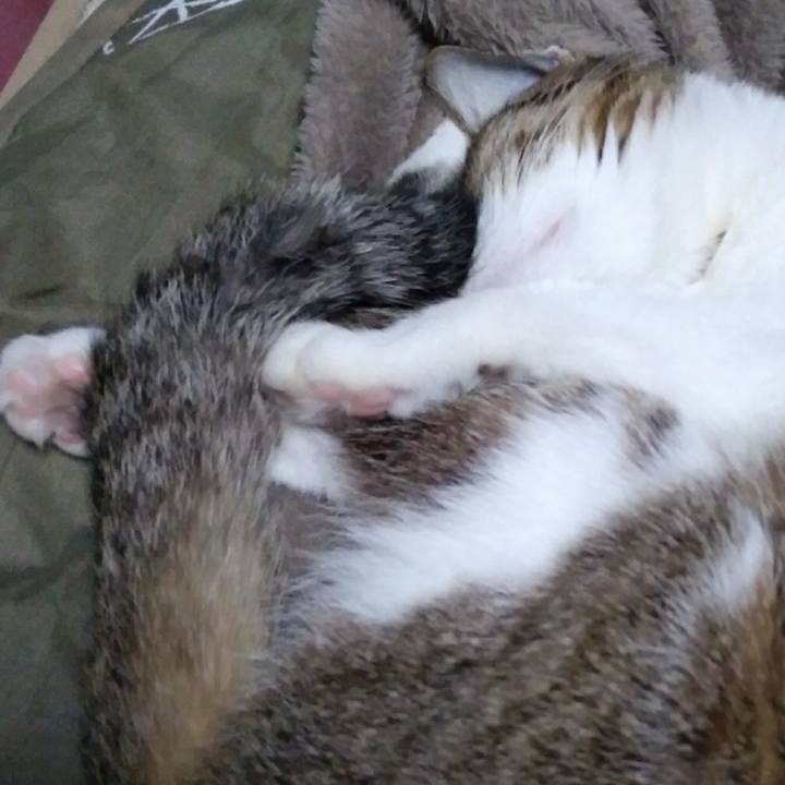 16522c0c f49a 44ea b680 a5e167eb298f 1542113880806