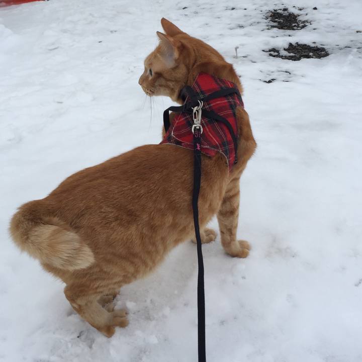 16523baa 9824 4190 8008 1873677a8e4e 1514944004544