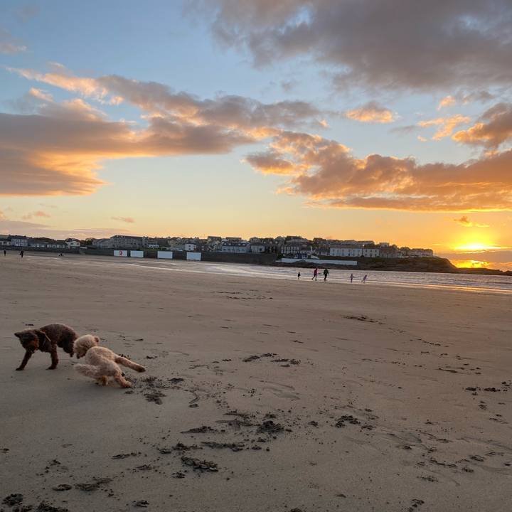 165240fa 6038 4c12 b8bf d3b065d463d0 1598647738412