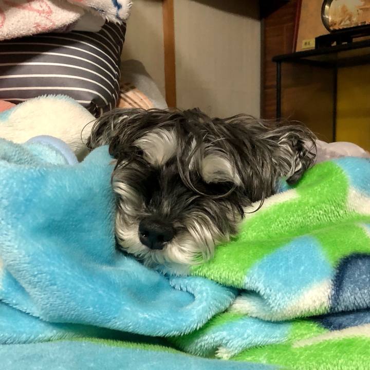 165338f0 00e4 4ae1 8ae8 4f6ef1d67ef9 1707487442936