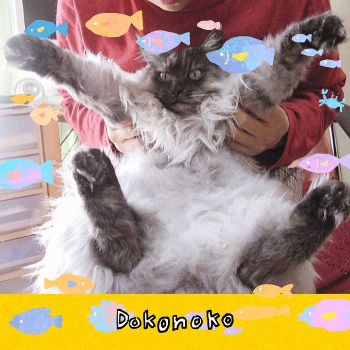 16534600 c3e5 4c51 93ca 590d63961405 1755221376987