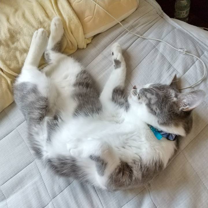 165362d7 4677 4e20 93e1 46e9265bd77a 1597709102720